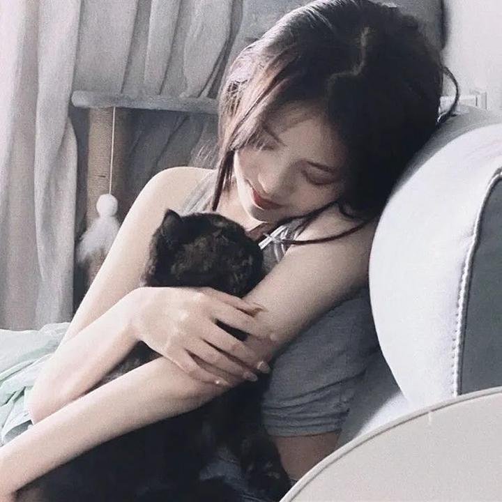 终结杉计划